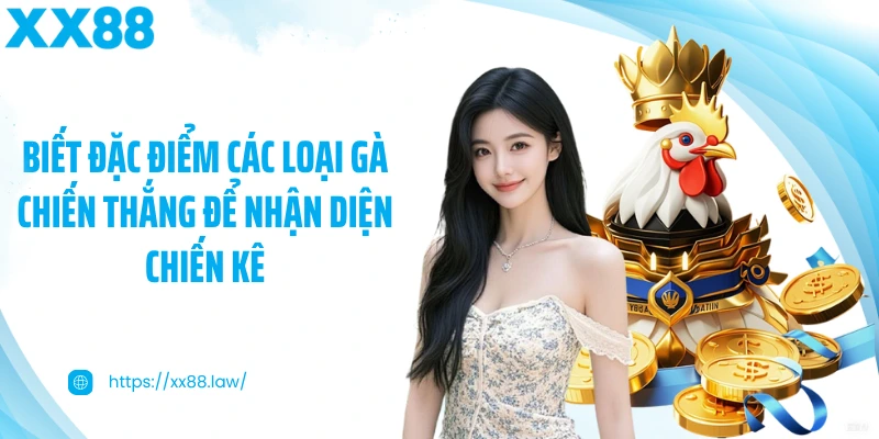 Biết đặc điểm các loại gà chiến thắng để nhận diện chiến kê