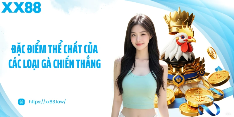 Đặc điểm thể chất của các loại gà chiến thắng