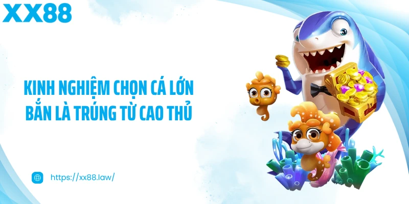 Kinh nghiệm chọn cá lớn bắn là trúng từ cao thủ