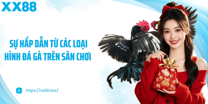 Sự hấp dẫn từ các loại hình đá gà trên sân chơi 