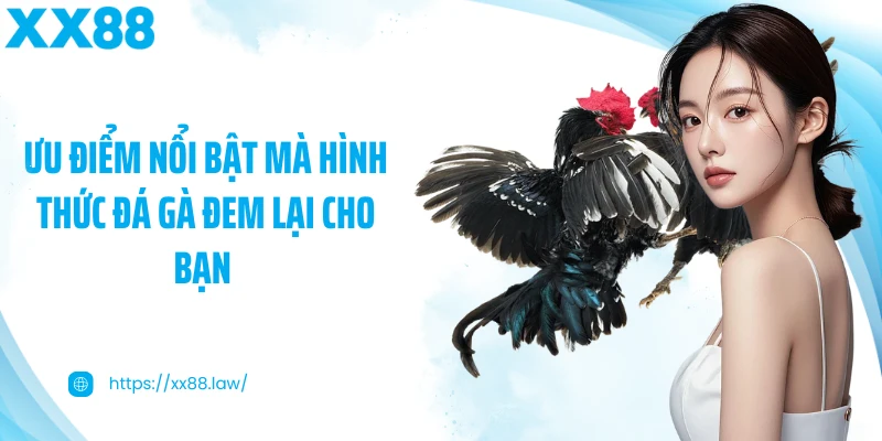 Ưu điểm nổi bật mà hình thức đá gà đem lại cho bạn 